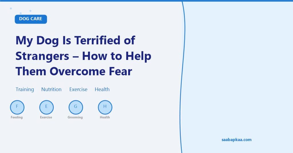 My Dog Is Terrified of Strangers - How to Help Them Overcome Fear - saabapkaa.com
