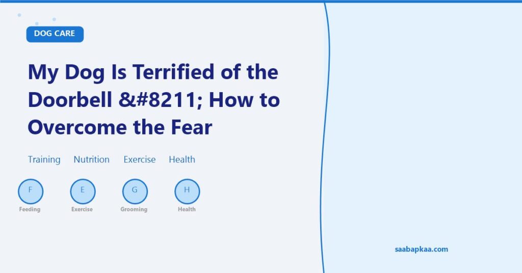 My Dog Is Terrified of the Doorbell – How to Overcome the Fear - saabapkaa.com
