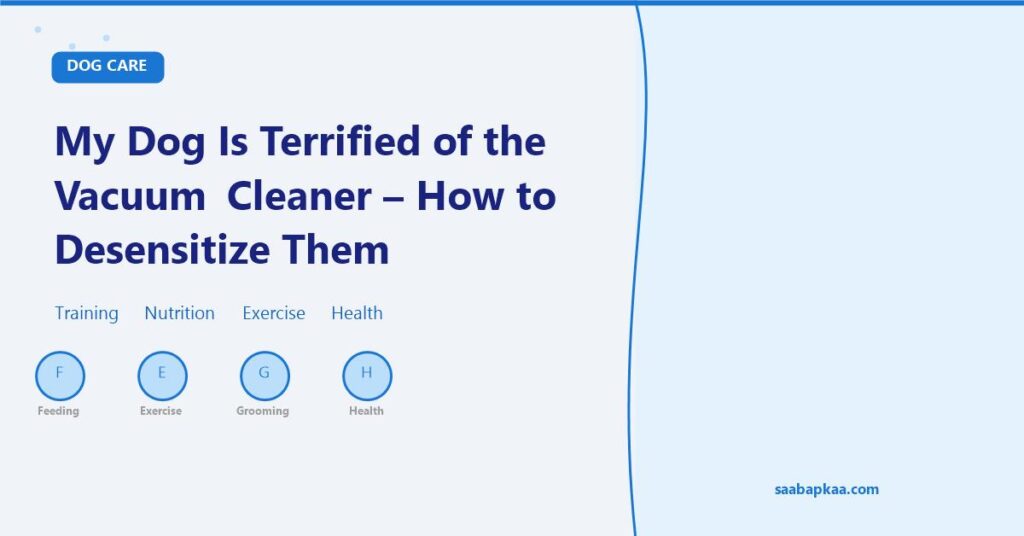 My Dog Is Terrified of the Vacuum Cleaner - How to Desensitize Them - saabapkaa.com