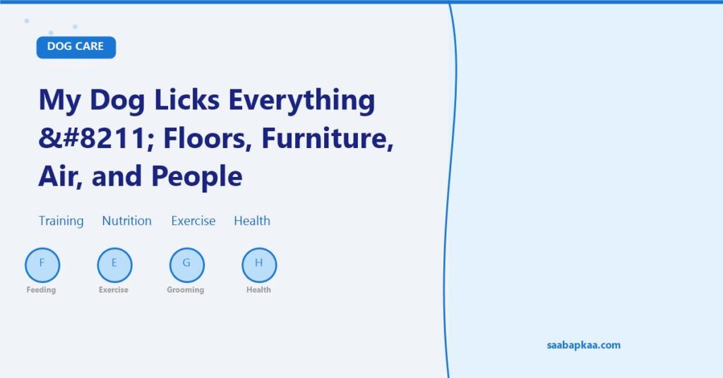 My Dog Licks Everything – Floors, Furniture, Air, and People - saabapkaa.com