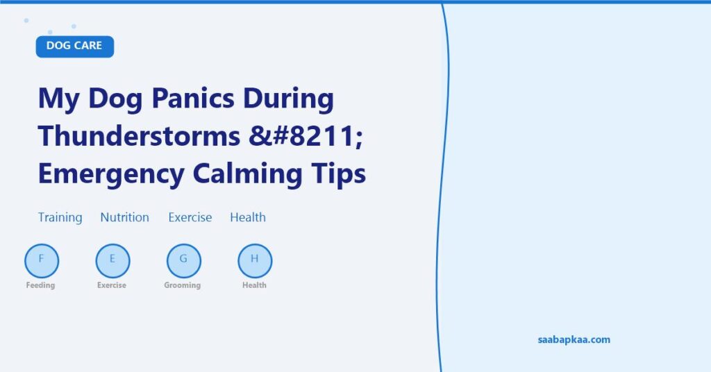 My Dog Panics During Thunderstorms – Emergency Calming Tips - saabapkaa.com