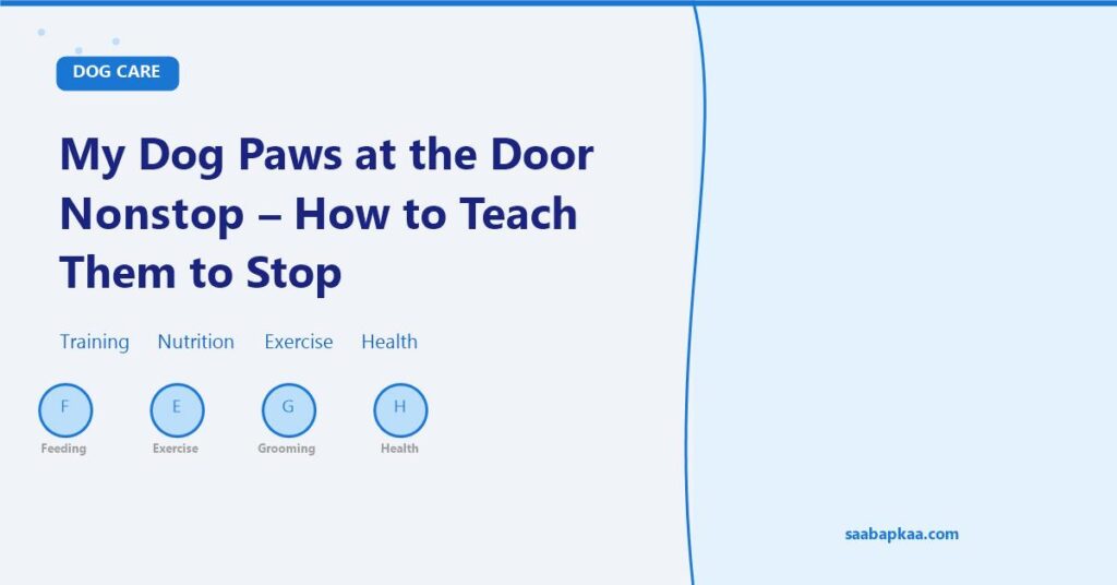 My Dog Paws at the Door Nonstop - How to Teach Them to Stop - saabapkaa.com