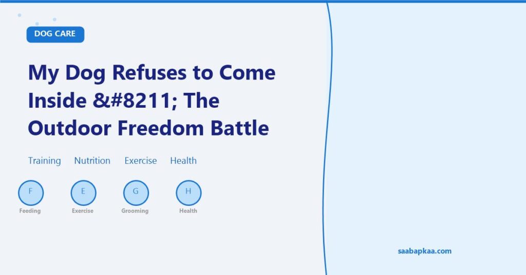 My Dog Refuses to Come Inside – The Outdoor Freedom Battle - saabapkaa.com