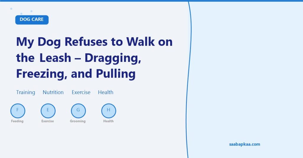 My Dog Refuses to Walk on the Leash - Dragging, Freezing, and Pulling - saabapkaa.com