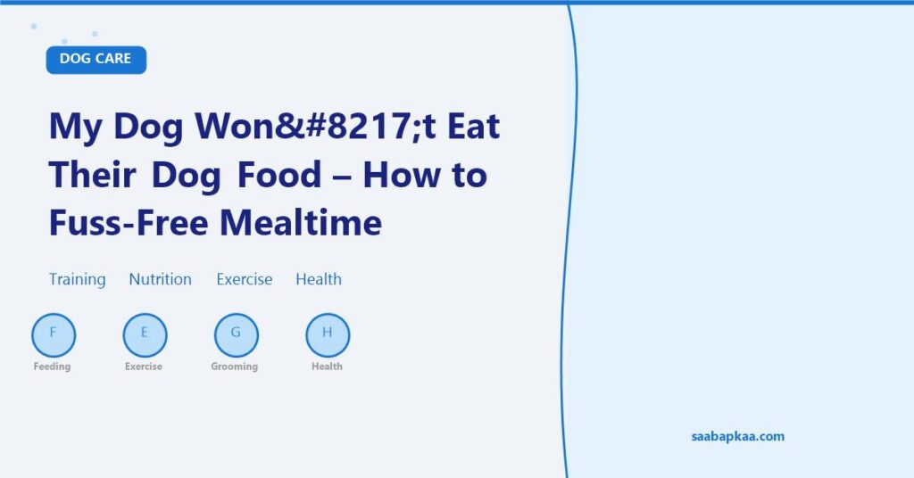My Dog Won’t Eat Their Dog Food - How to Fuss-Free Mealtime - saabapkaa.com