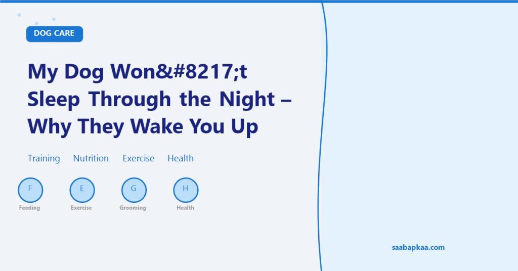 My Dog Won’t Sleep Through the Night - Why They Wake You Up - saabapkaa.com