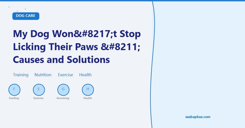 My Dog Won’t Stop Licking Their Paws – Causes and Solutions - saabapkaa.com