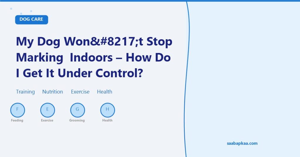 My Dog Won’t Stop Marking Indoors - How Do I Get It Under Control? - saabapkaa.com
