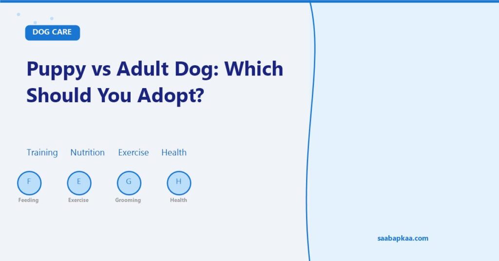 Puppy vs Adult Dog: Which Should You Adopt? - saabapkaa.com
