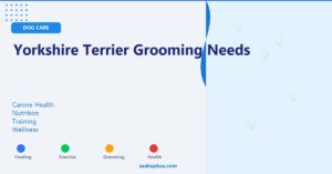 Yorkshire Terrier Grooming Needs - saabapkaa.com